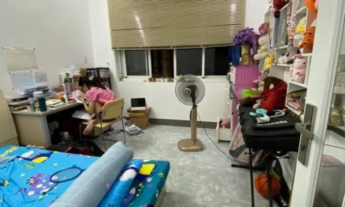 BÁN NHÀ TÂN BÌNH HXH 50M2 4 TẦNG ĐẸP LUNG LINH BÙI THỊ XUÂN 7.3 TỶ.