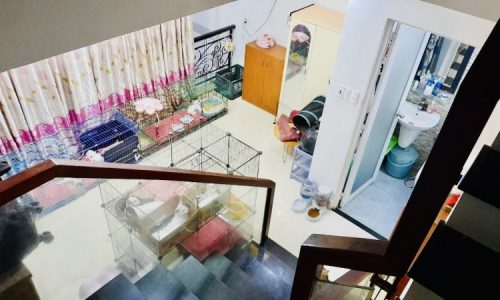 BÁN NHÀ BÌNH THẠNH HXH 5 TẦNG NGANG 5M ĐẸP LUNG LINH HOÀNG HOA THÁM 5.99 TỶ.